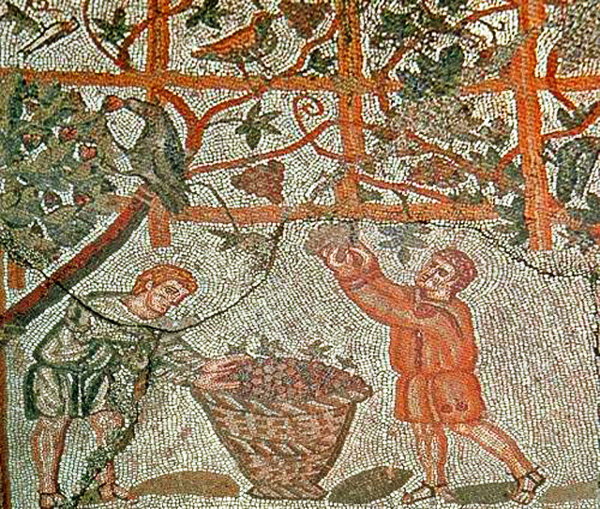 Mosaik Weinernte